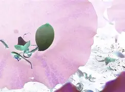 贝博官网 -M?O?襸e燠牋徲&amp;!裯)?;荷破?Ve`?HT,N侠^鏔2L5滪的简单介绍