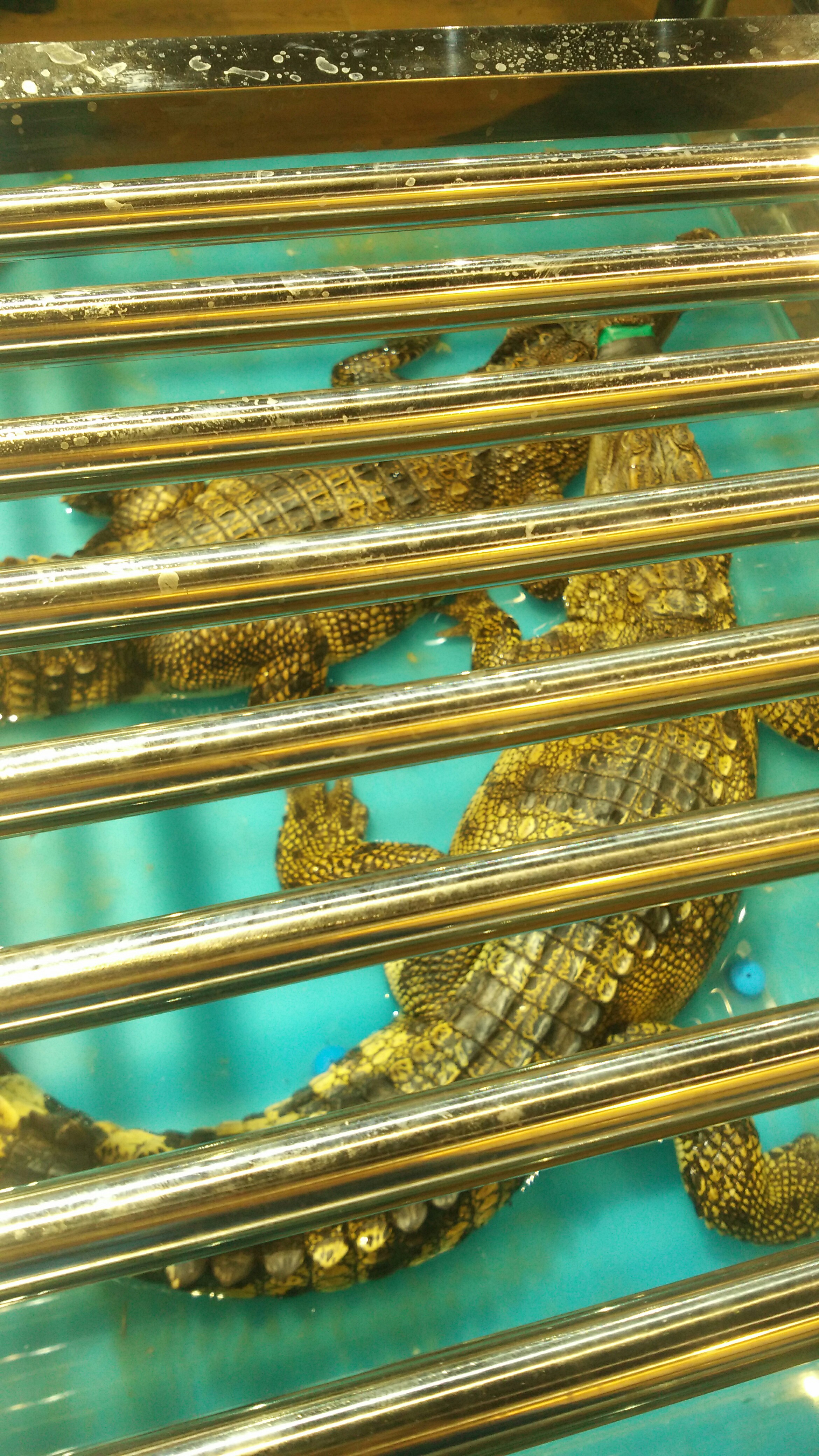 贝博体育 -匣1?\杗xHCI汎)k6Щ?d阧;邛j曕糙虭?y貿w旑U鐣0_*潥P?鼩>?施欬	延?Vi^*{q╒苋爿n荵;戳?跡5鍿臢F谗b的简单介绍