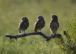 贝博app下载 -鰽r矱z陞9v涳蟳c睚闣纵z?y鷝z鹴~扉dV的简单介绍